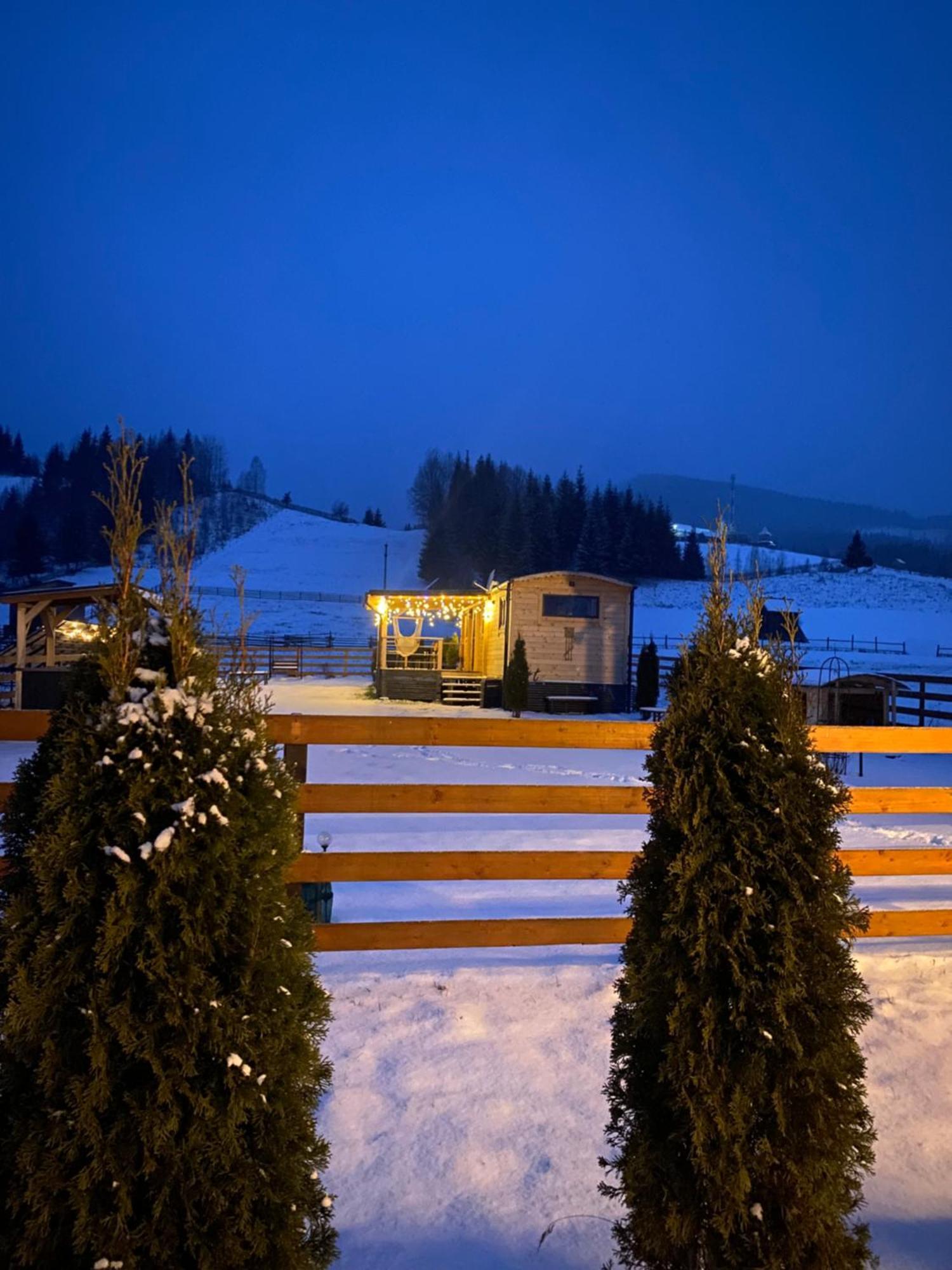 La Casuta Din Ciocanesti Art Bagian luar foto
